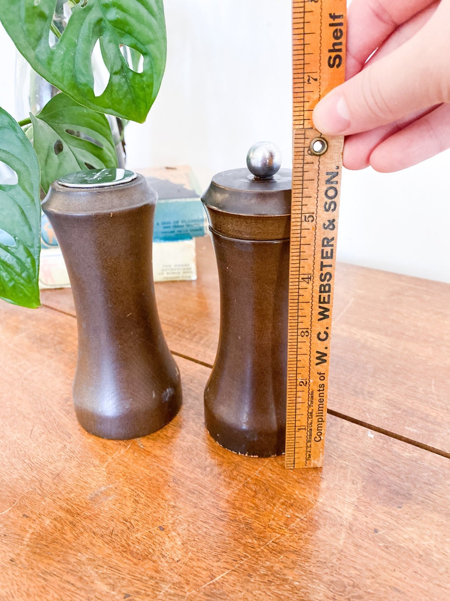 Darkened Wooden Salt & Pepper Shakers - Perth Market