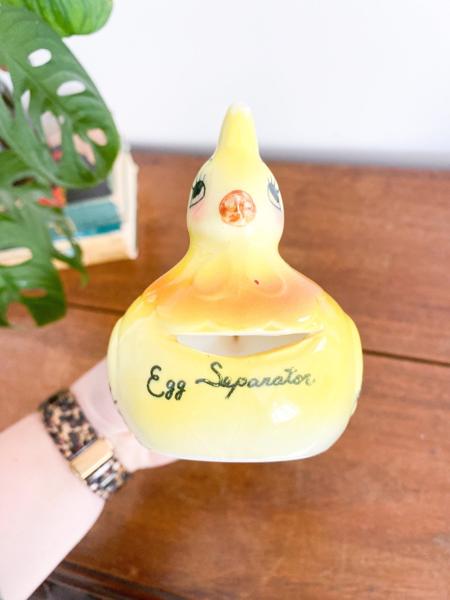 Vintage Chicken Egg Separator - Perth Market