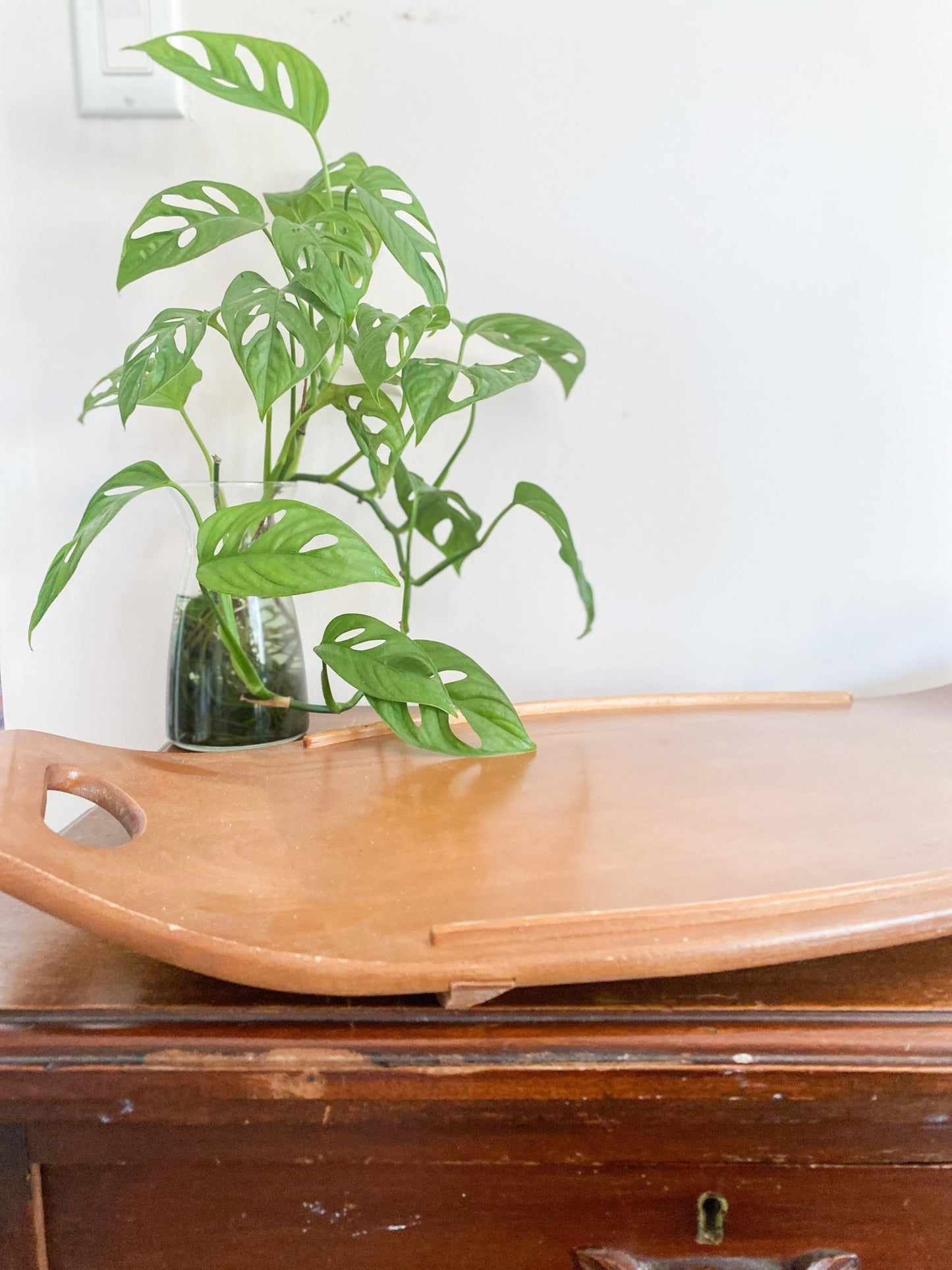 Baribocraft Wooden Tray - Perth Market