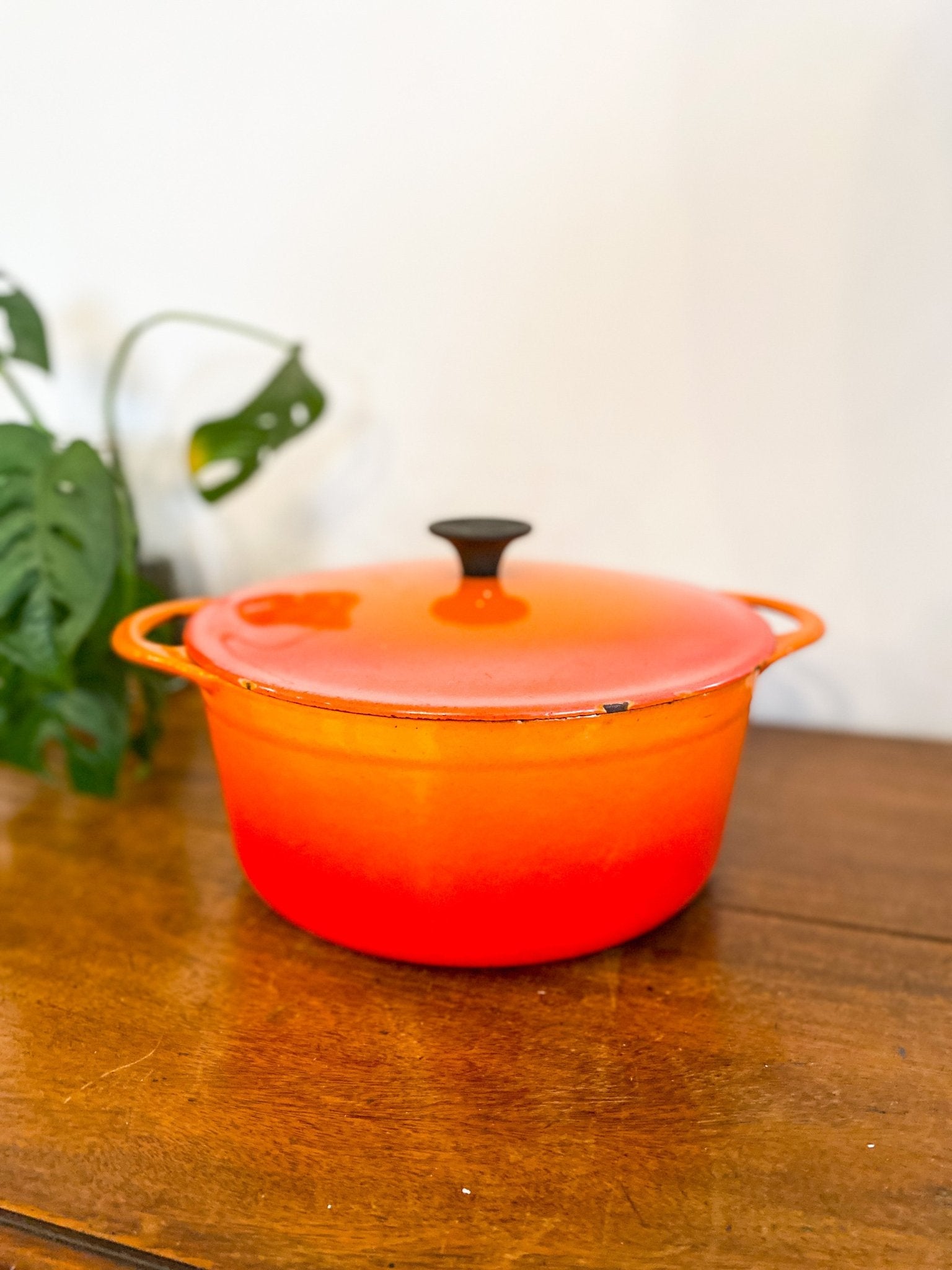 Cousances (Le Creuset) Enamel Cast Iron Dutch Oven - 22 - Perth Market