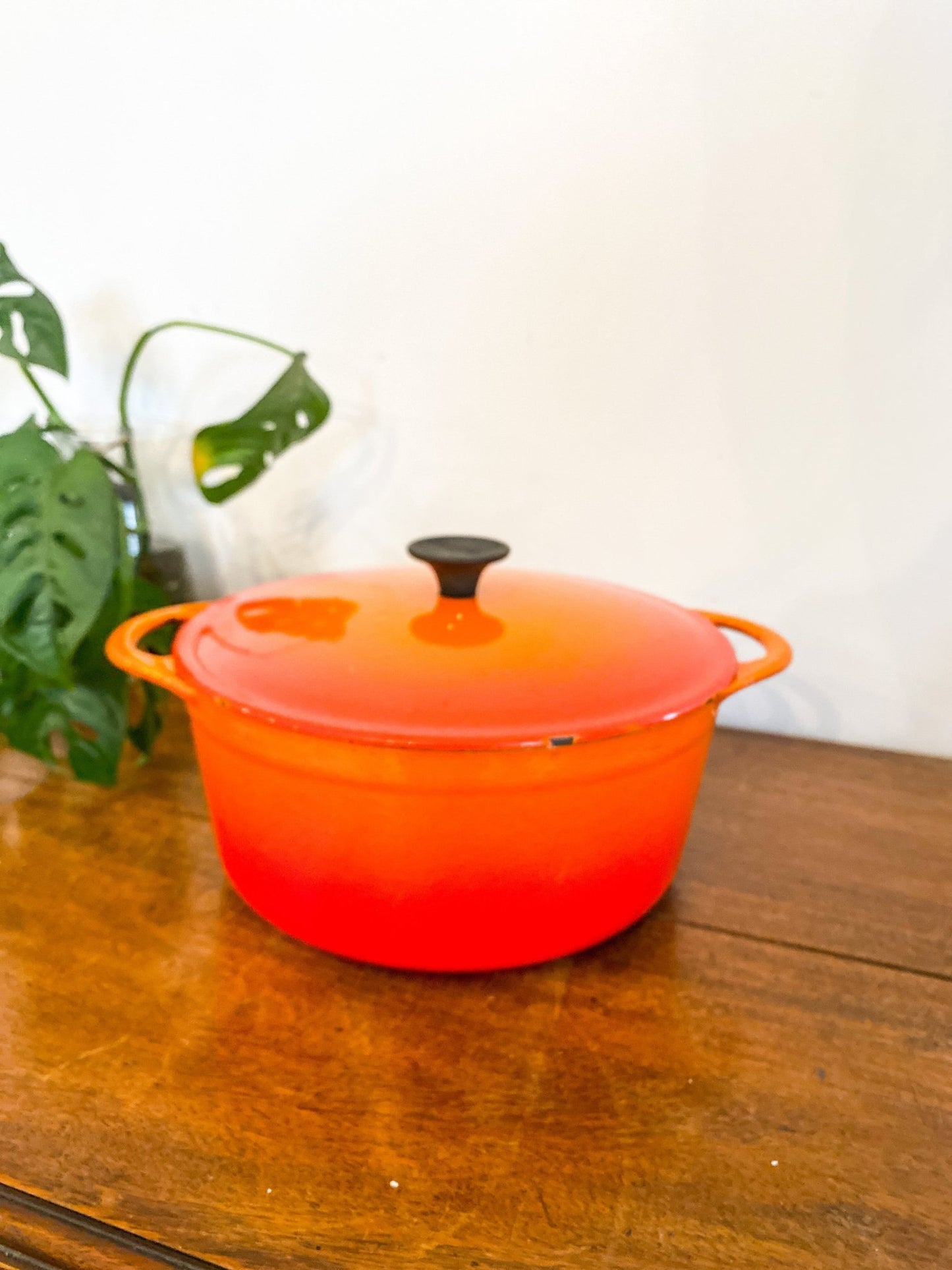 Cousances (Le Creuset) Enamel Cast Iron Dutch Oven - 22 - Perth Market