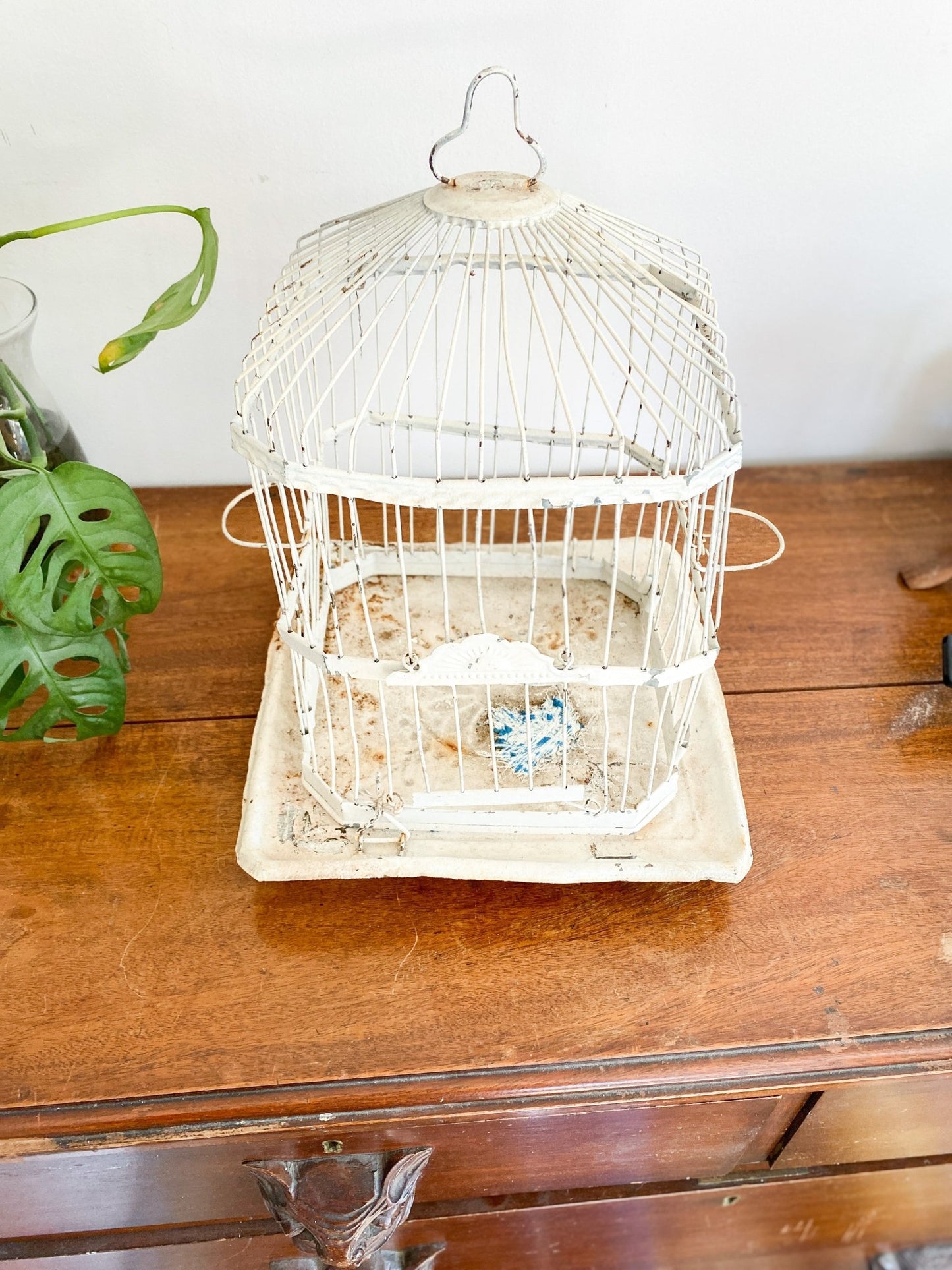 Eclectic Bird Cage - Perth Market