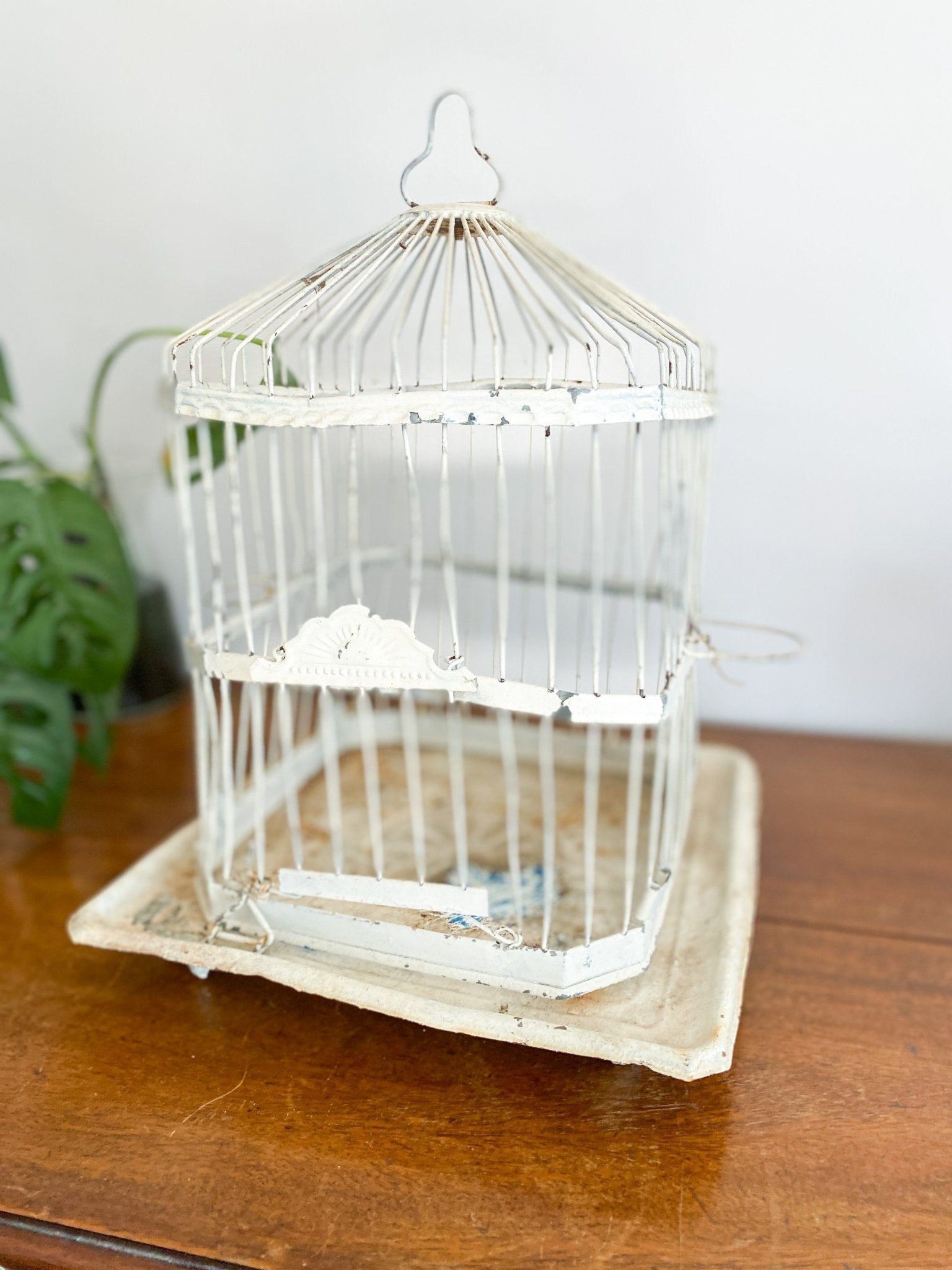 Eclectic Bird Cage - Perth Market