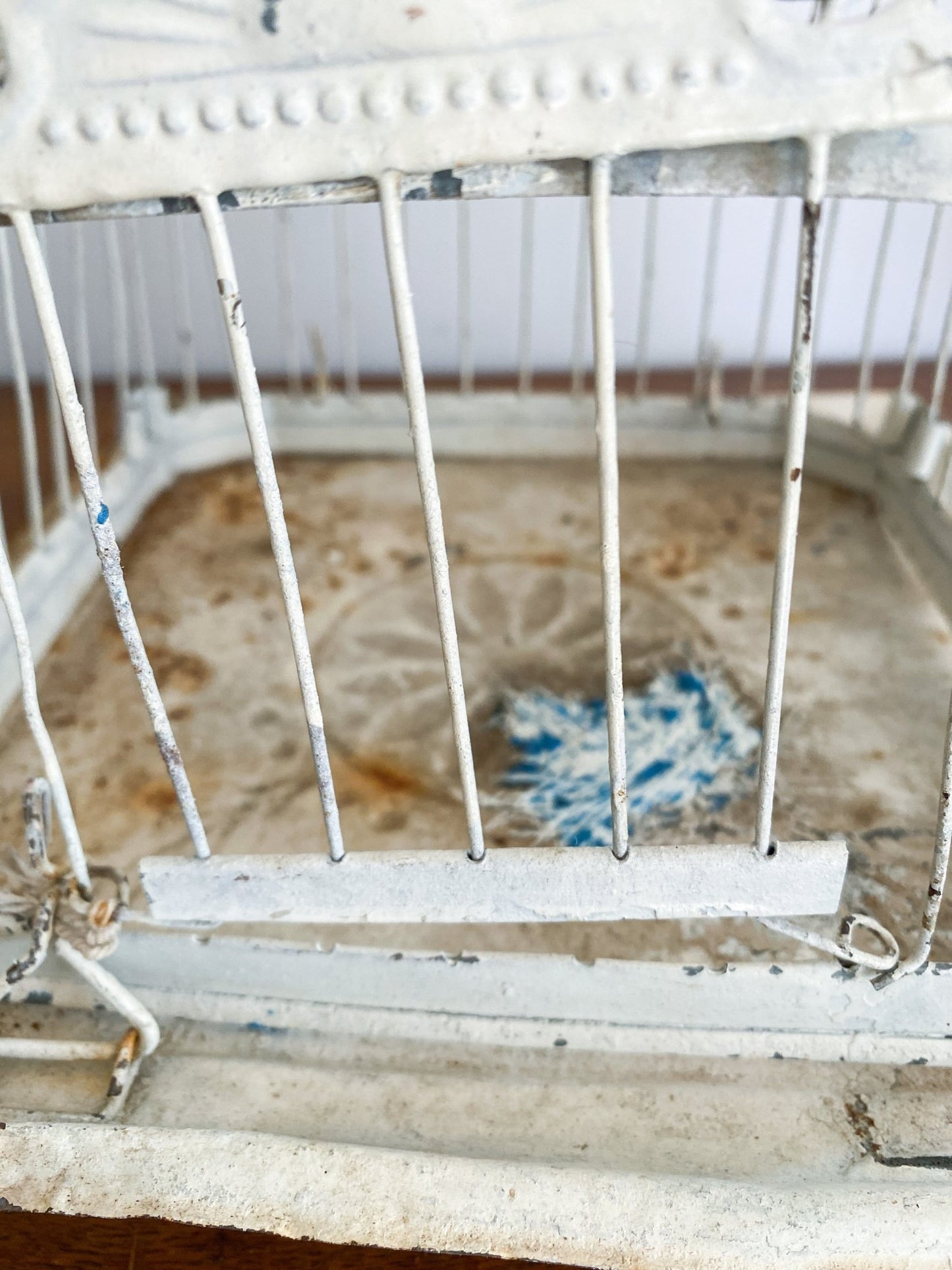 Eclectic Bird Cage - Perth Market