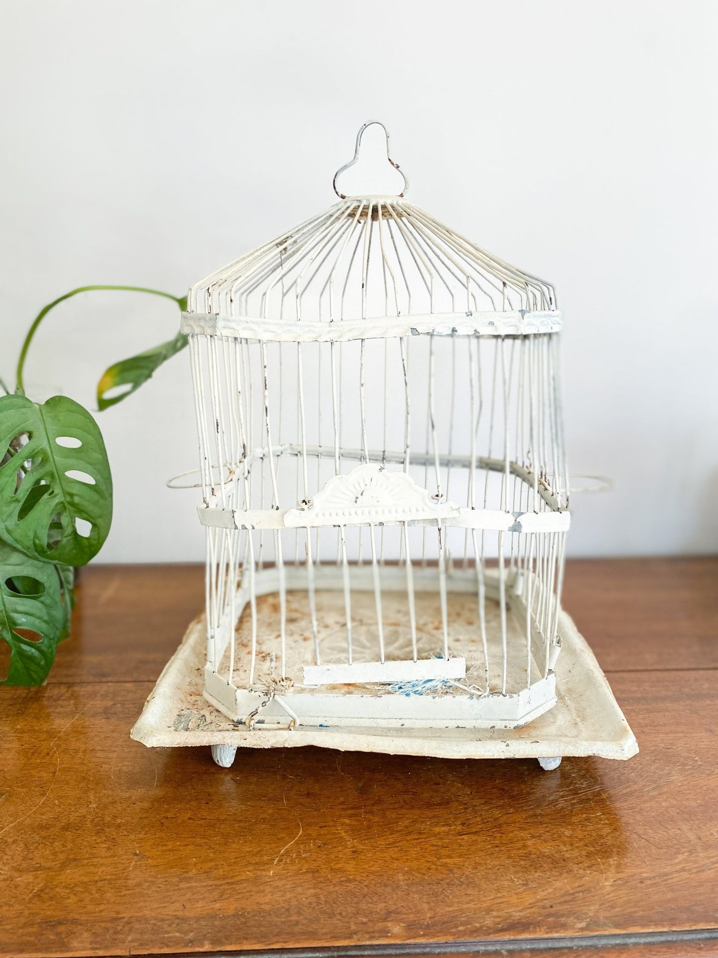 Eclectic Bird Cage - Perth Market