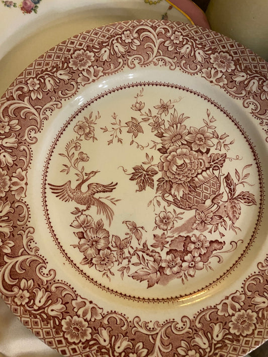 English Ironstone Tableway Dinner Plate - Perth Market