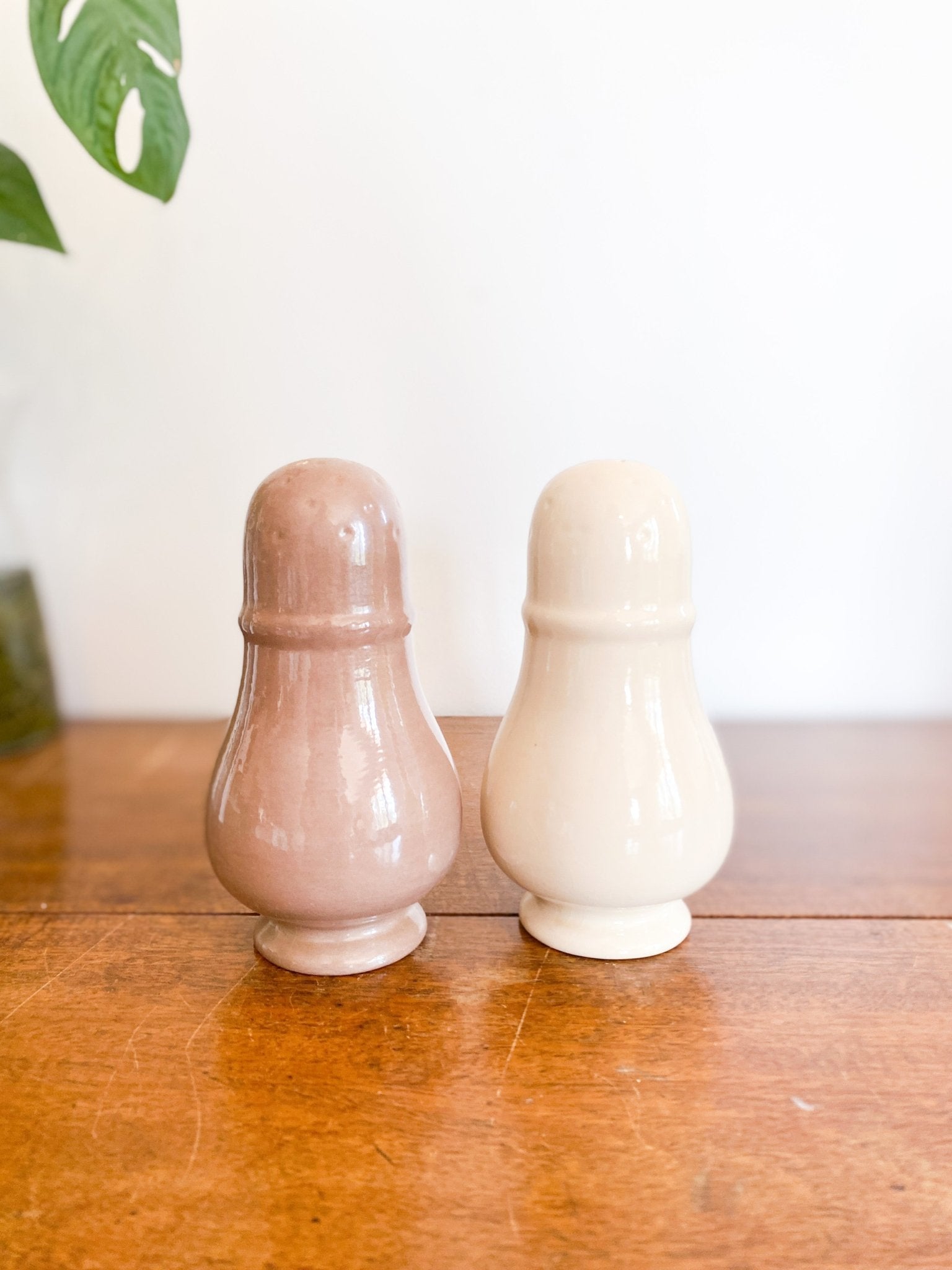 Muted Tones Salt and Pepper Shaker - Perth Market