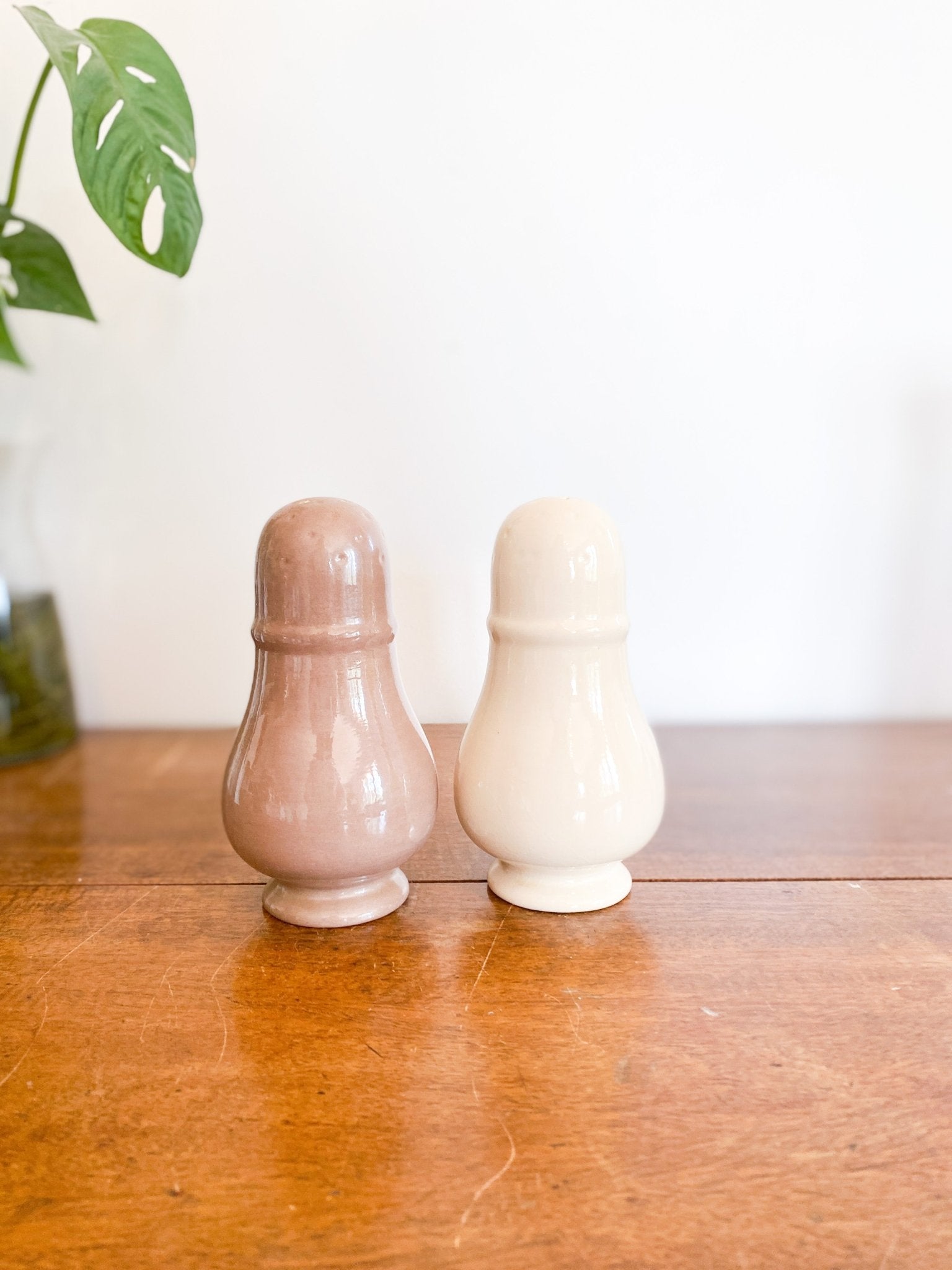 Muted Tones Salt and Pepper Shaker - Perth Market