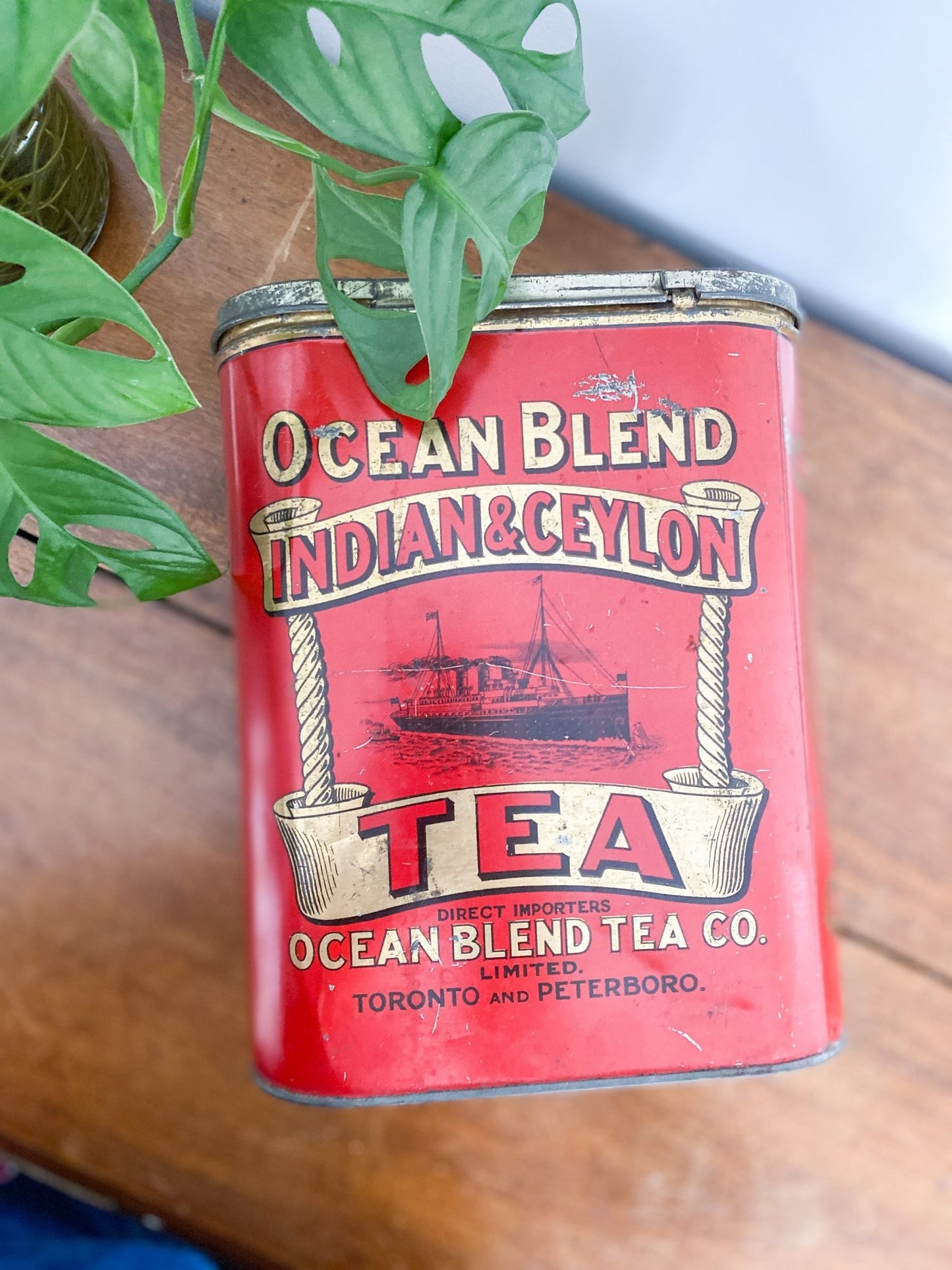 A closeup of the metal tea tin with its vibrant red colours and a plant seen on top of it. The red tin sits on top of a wooden table. 