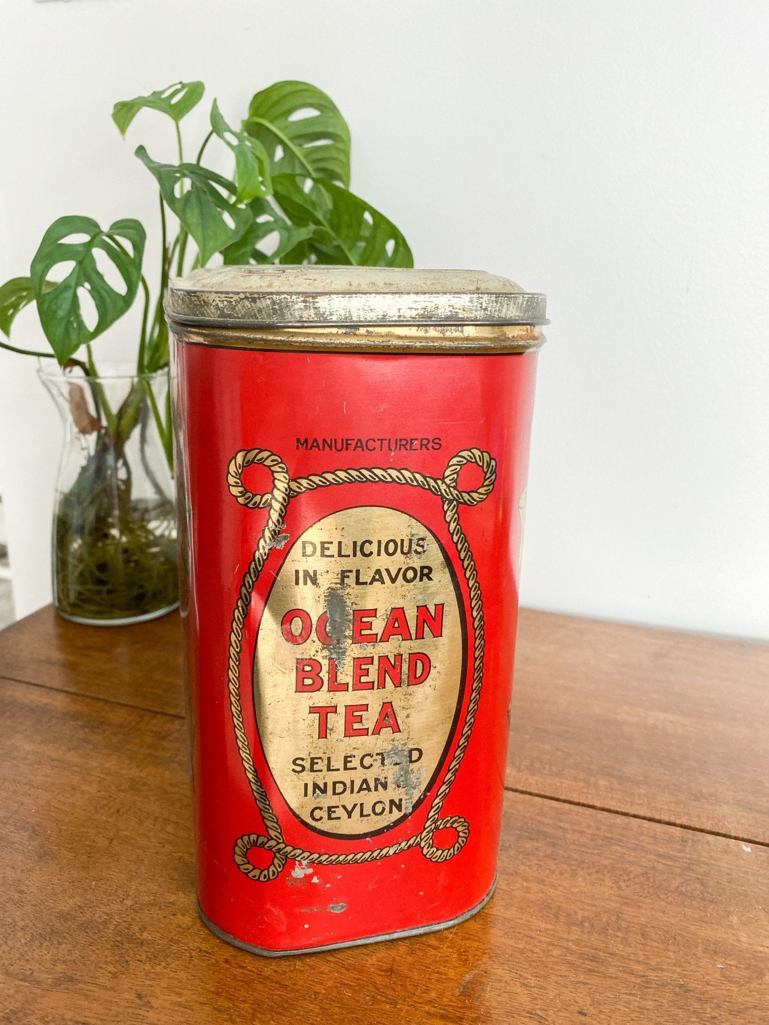 The vibrant red tin is seen from the side with a monstera plant in the background. The words on it are described, "Manufactuers. Delicious in flavor ocean blend tea. Selected Indian and Ceylon" with a banner of rope around it. 