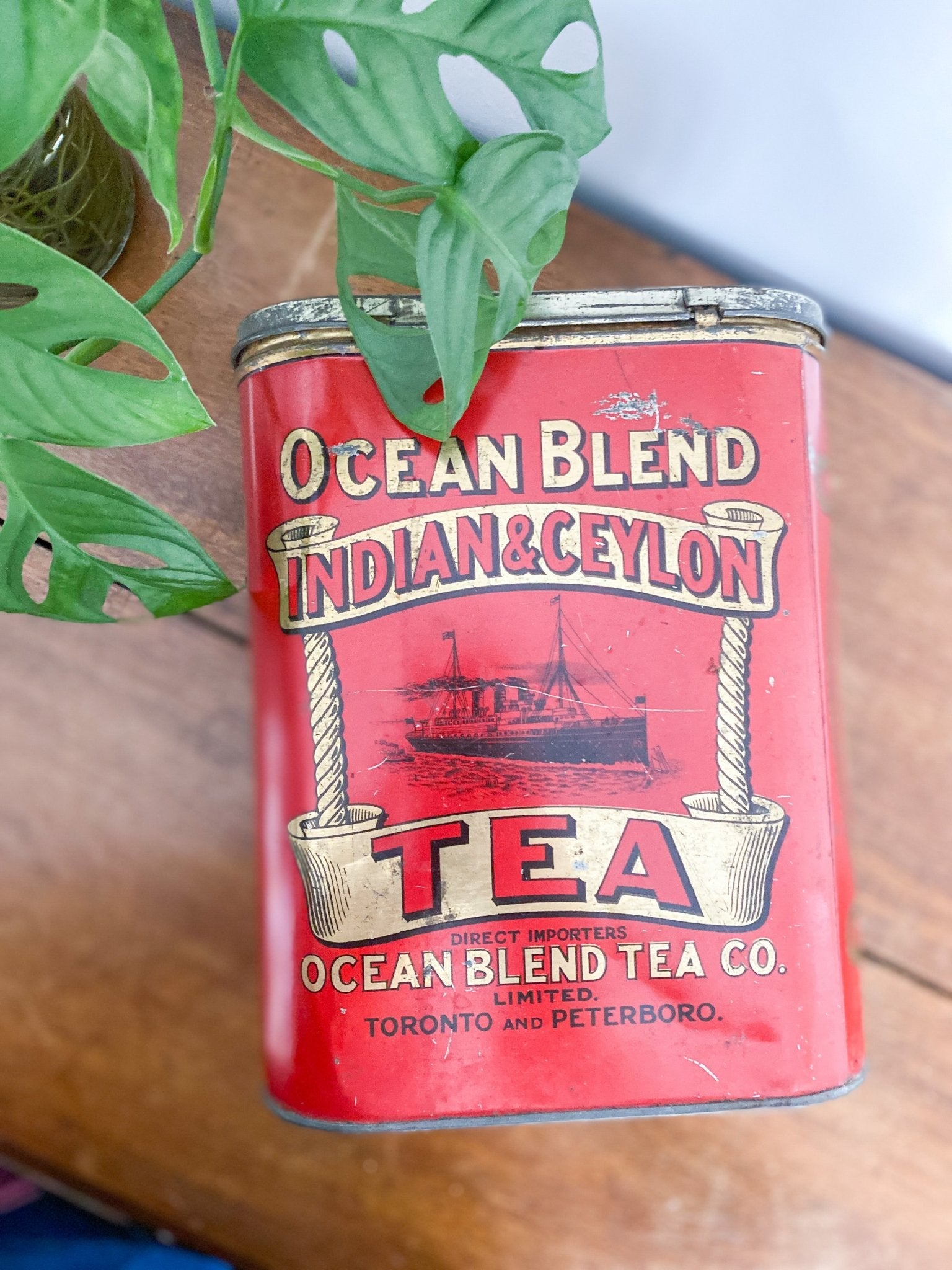 Ocean Blend Indian & Ceylon Tea Tim - Perth Market