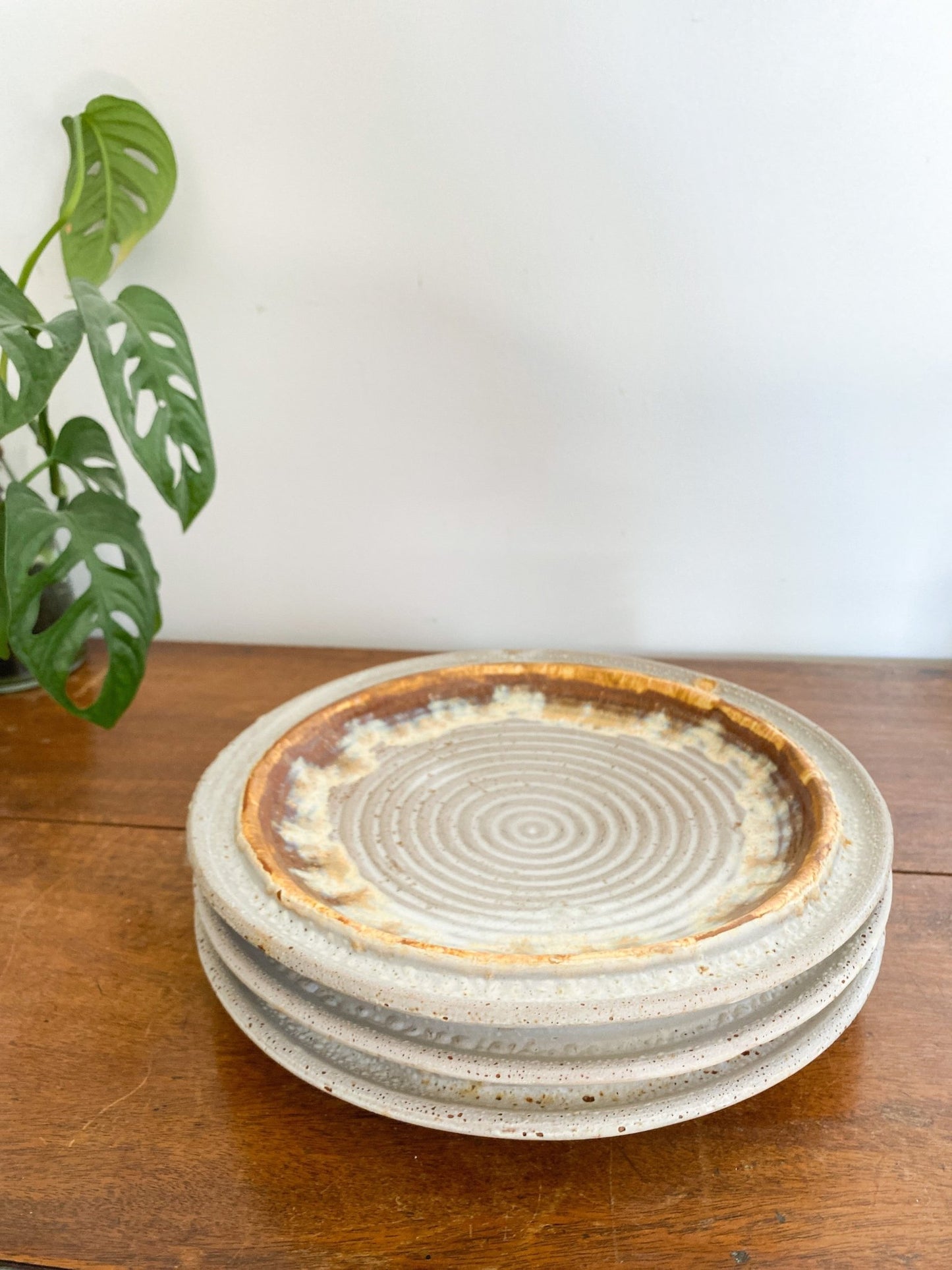 Vintage Laurentian Tundra Dinner Plates - Perth Market