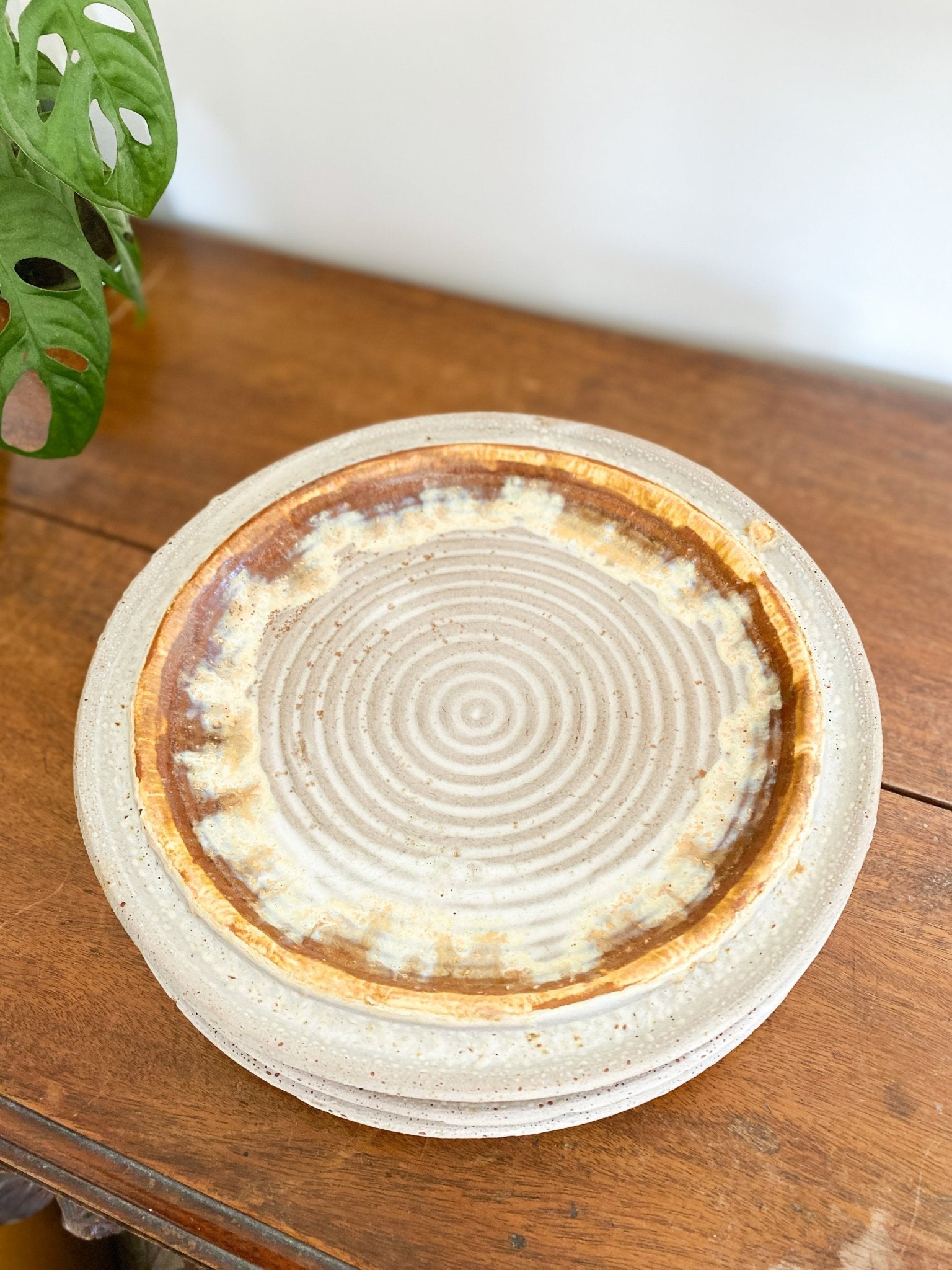 Vintage Laurentian Tundra Dinner Plates - Perth Market