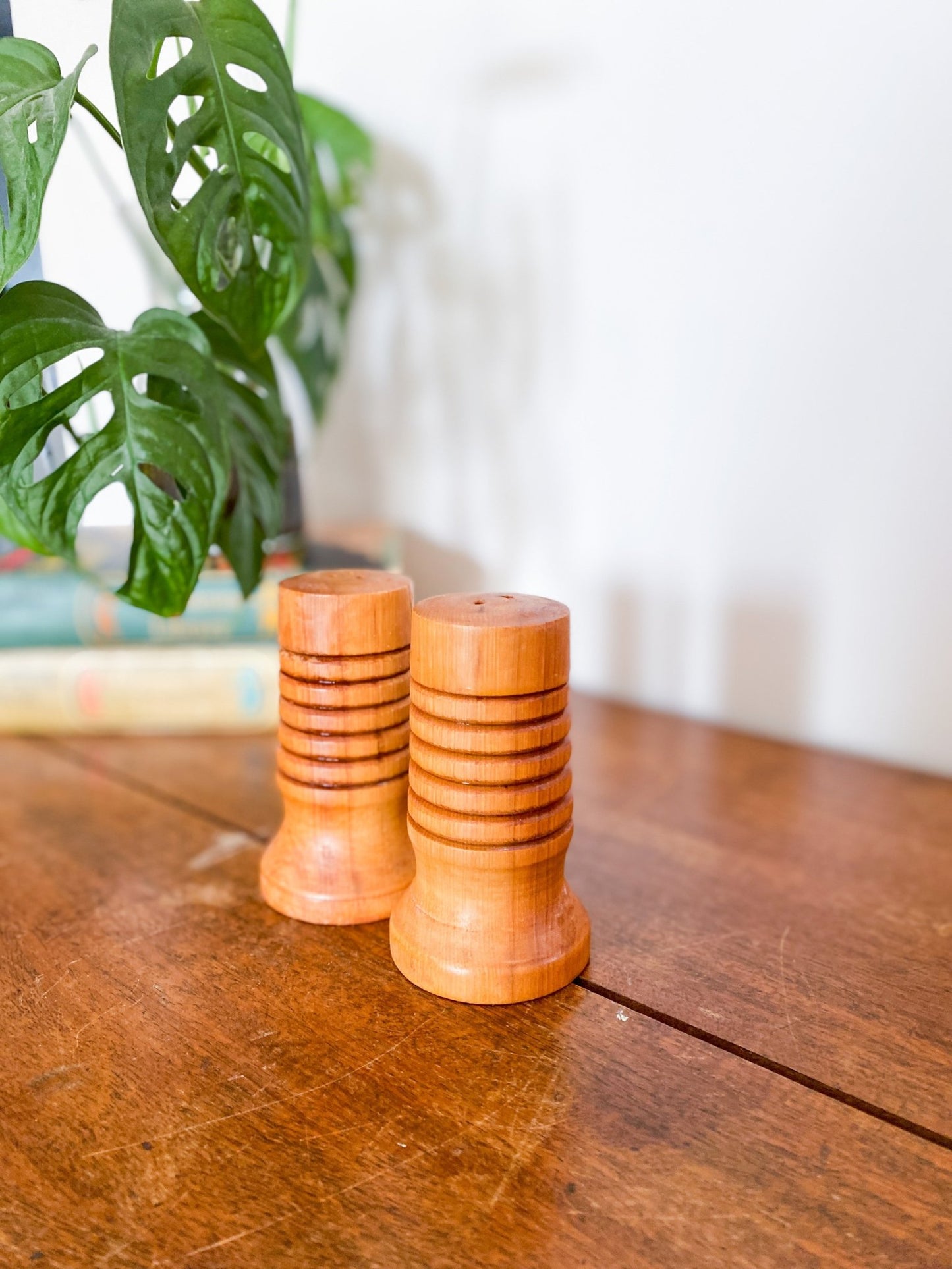 Wooden Circular Salt & Pepper Shakers - Perth Market