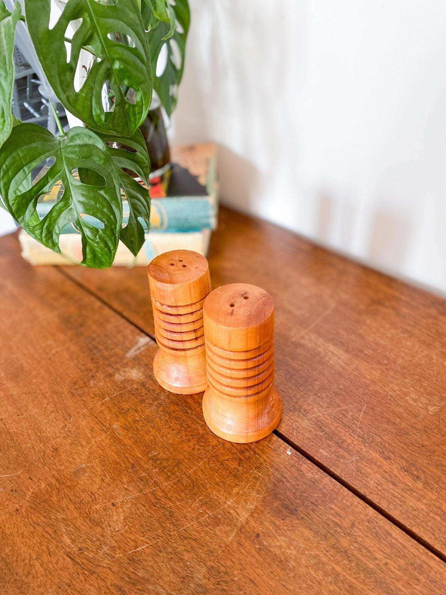 Wooden Circular Salt & Pepper Shakers - Perth Market