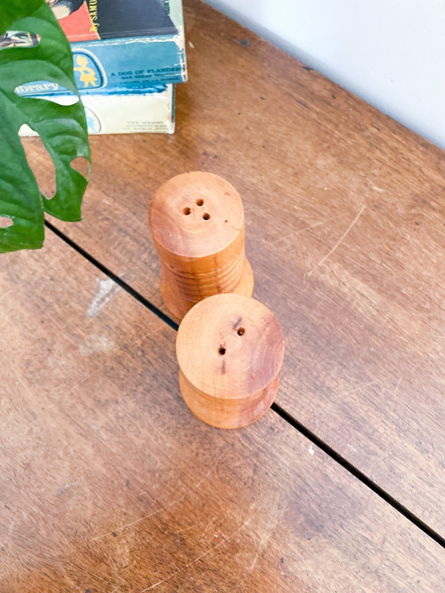 Wooden Circular Salt & Pepper Shakers - Perth Market