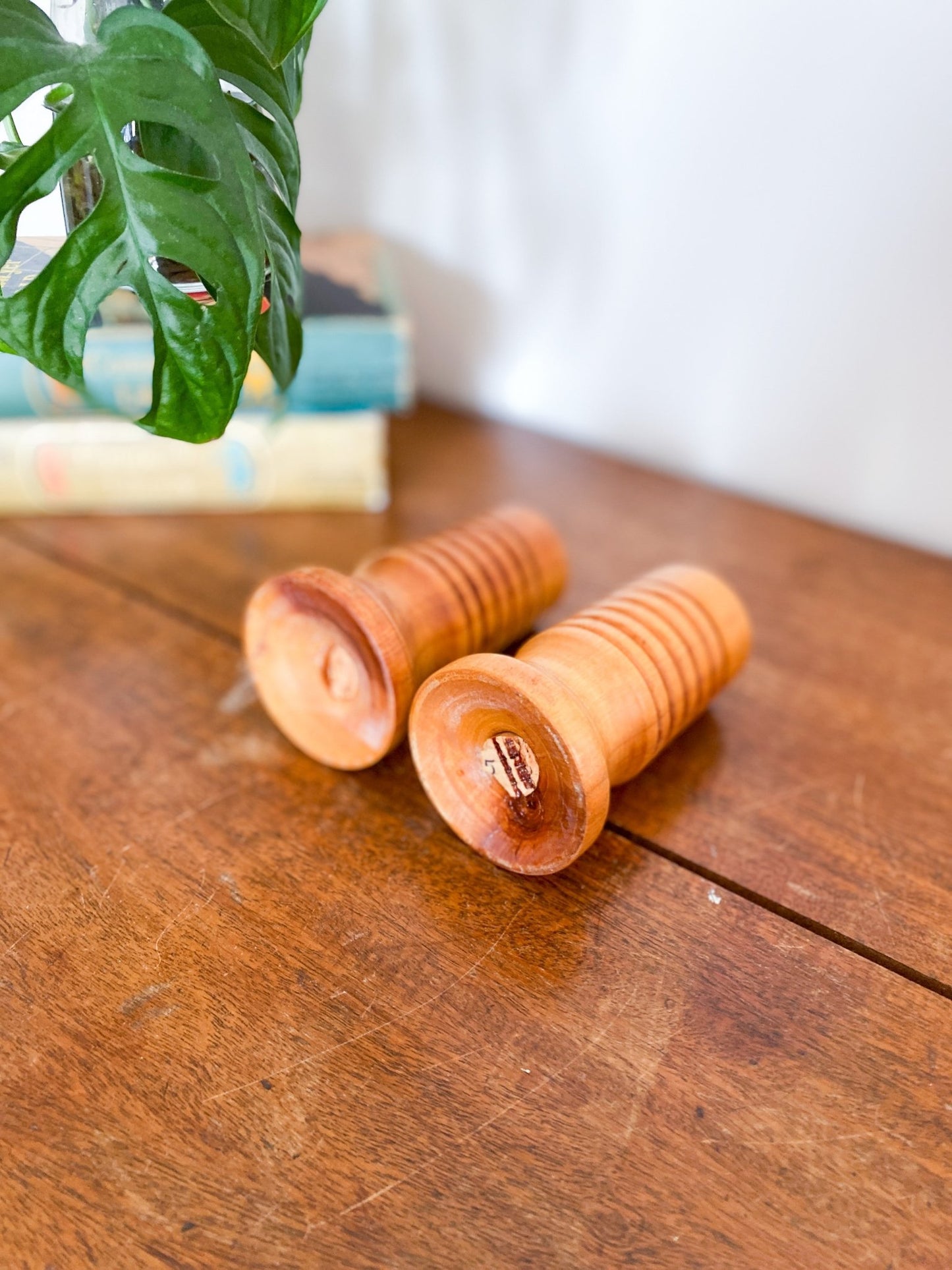 Wooden Circular Salt & Pepper Shakers - Perth Market